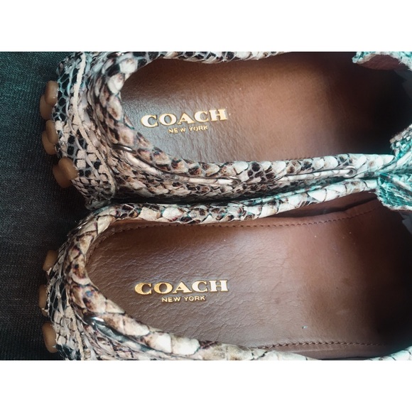 COACH Snakeskin Leather Driving Loafer NEW Sz7 - Picture 3 of 8